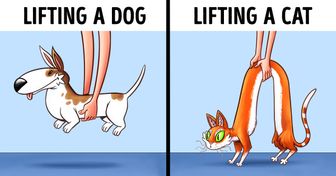 9 Drastic Differences Between Cats and Dogs That Prove They’re From Different Planets