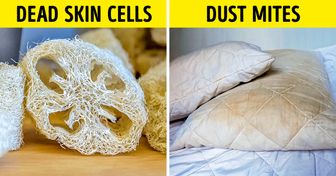 10 Household Items That Can Become Your Worst Enemies If You Don’t Take Good Care of Them
