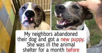 10 Before-and-After Pet Adoption Photos: Animal Shelter Cats and Dogs Who Traded Humane Society Kennels for Homes Full of Compassion and Happiness