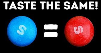 All Skittles Taste the Same? And 14 Sweets Myths & Facts