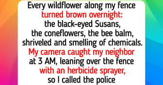 9 Cute Stories About Growing Wildflowers, Waiting Patiently, and Finding Happiness in the Little Things