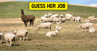 10 Animals With Real Jobs Who Earn Their Keep, and a Llama Hired as a Security Guard