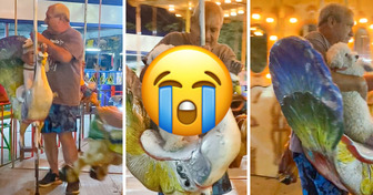 Grandpa Takes His Dog on a Carousel Ride as if He’s a Child and Is Recognized In Viral Video