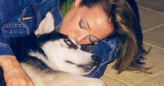 Why Dogs Get Deeply Attached to Just One Special Person