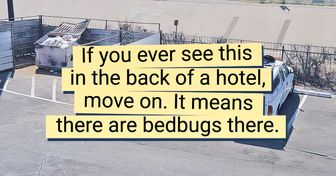 15 People Booked a Hotel and Got Completely Astonished
