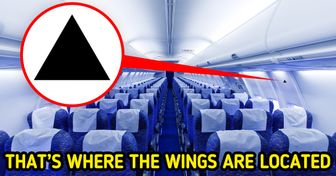 8 Mysterious Little Things on Planes That Are Very Important for Your Safety