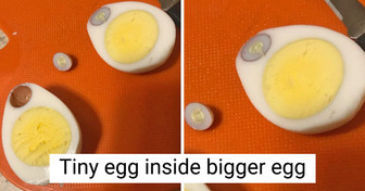 18 People Who Couldn’t Believe Their Luck With Their Magnificent Findings