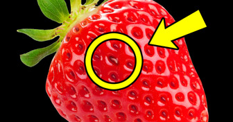 Put Strawberries in Salt Water, See What Happens Next