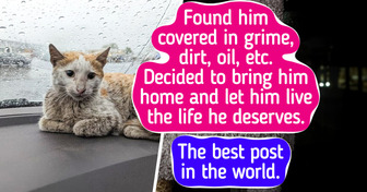 16 Photos That Prove a Loving Family Is the Best Gift a Pet Can Get