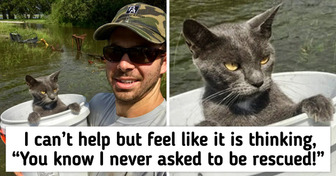 15 Pics That Capture a Full Spectrum of Emotions