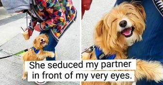 20 Pics That Can Spark Joy From Miles Away
