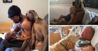 23 Moving Photos That Prove Dogs Are Too Precious for This World