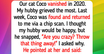 21 Animals Who Helped Their Humans at Home, at Work, on Walks, and When Things Went Wrong