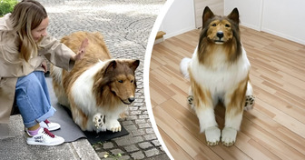 A Japanese Man Decided to Give Up on Human Life and Transformed Into a Dog