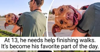 15 People Who Love Their Pets Unconditionally