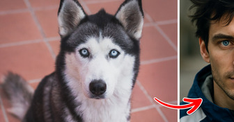 What 9 Popular Dog Breeds Would Look Like If They Were Humans