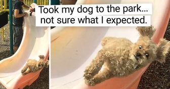 18 People Who Saw a Real Comedy While Doing Everyday Things