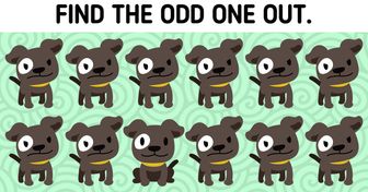 Test: Find the Odd One Out in Less Than 7 Seconds