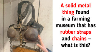 15 Times People Found Something That Left Us Confused