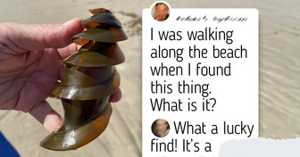 8 Bird and Fish Eggs That Look Nothing Like What You’d Expect — Including One That Looks Exactly Like a Dragon’s