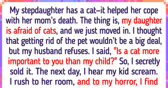 I Secretly Sold My Stepdaughter’s Cat — My Daughter Was Afraid of It