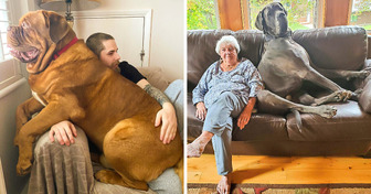 20+ Pets That Are So Big They Look Like They Are Surrounded by Smurfs