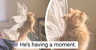 15 Pics That Can Warm Your Heart Better Than a Cup of Coffee