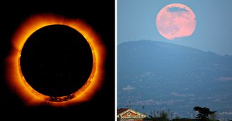 “Ring of Fire” Will Dazzle Up the Sky This Year, and 9 More Events You Can’t Miss