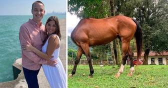 15 Optical Illusions That Seem Normal Until You Realize What’s Really Going On