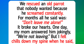 12 Heartwarming Animal Stories That Show Kindness Exists Beyond Humans