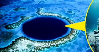 Divers Reach the Bottom of the Great Blue Hole and Uncover a Frightening Discovery