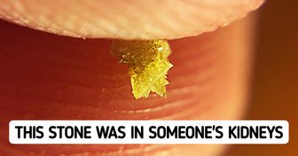 25 Intriguing Things That Very Few People Have Actually Seen