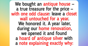 11 Homeowners Who Uncovered a Buried Treasure During a Home Renovation and Couldn’t Believe Their Eyes