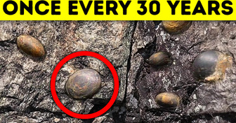 Bizarre Egg-Laying Mountain in China Baffles Scientists