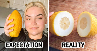 19 Times Expectations Got Crushed by the Rock of Reality