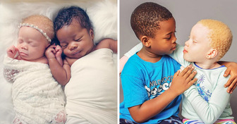 How a Mom Ended Up With Black and White Twins After Struggling With Infertility