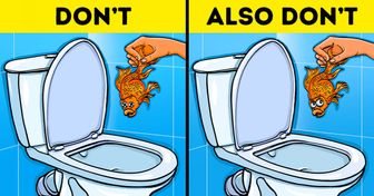 12 Things That Shouldn’t Be Dumped Down the Drain