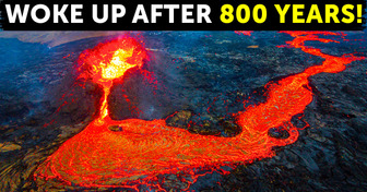 50,000 Earthquakes in 3 Weeks Shook Volcano Awake