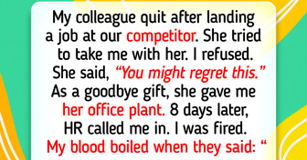 10 Success Moments Where Kindness Became the Light of Happiness in Someone’s World