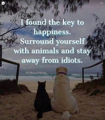 Comment with image on Bright Side