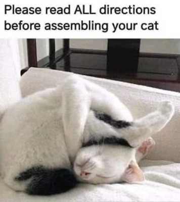 Comment with image on Bright Side