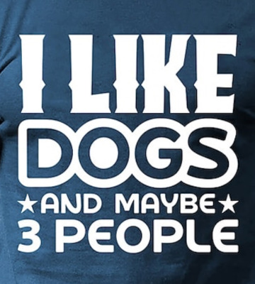 Comment with image on Bright Side