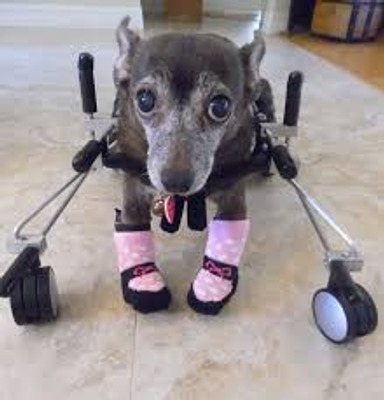 Comment with image on Bright Side