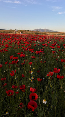 Comment with image on Bright Side