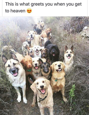 Comment with image on Bright Side