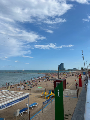 Comment with image on Bright Side