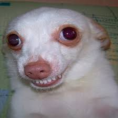 Comment with image on Bright Side