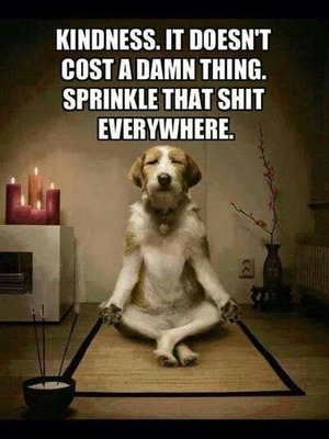 Comment with image on Bright Side