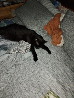 Comment with image on Bright Side