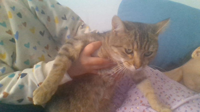 Comment with image on Bright Side